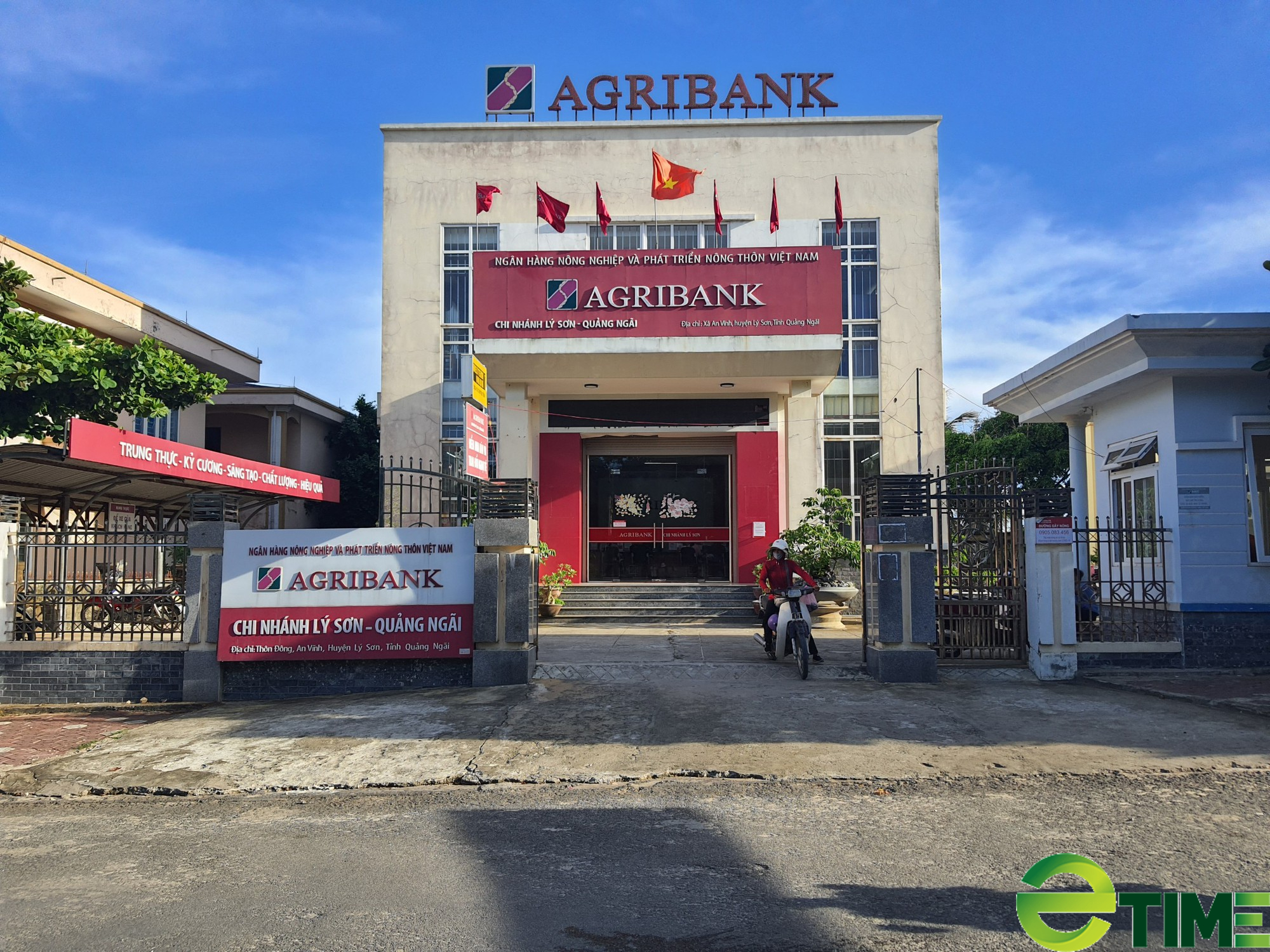 Quảng Ngãi: Có vốn Agribank tiếp sức - nông dân Lý Sơn nuôi cá bớp, tôm hùm lãi cả tỷ đồng/năm - Ảnh 6.