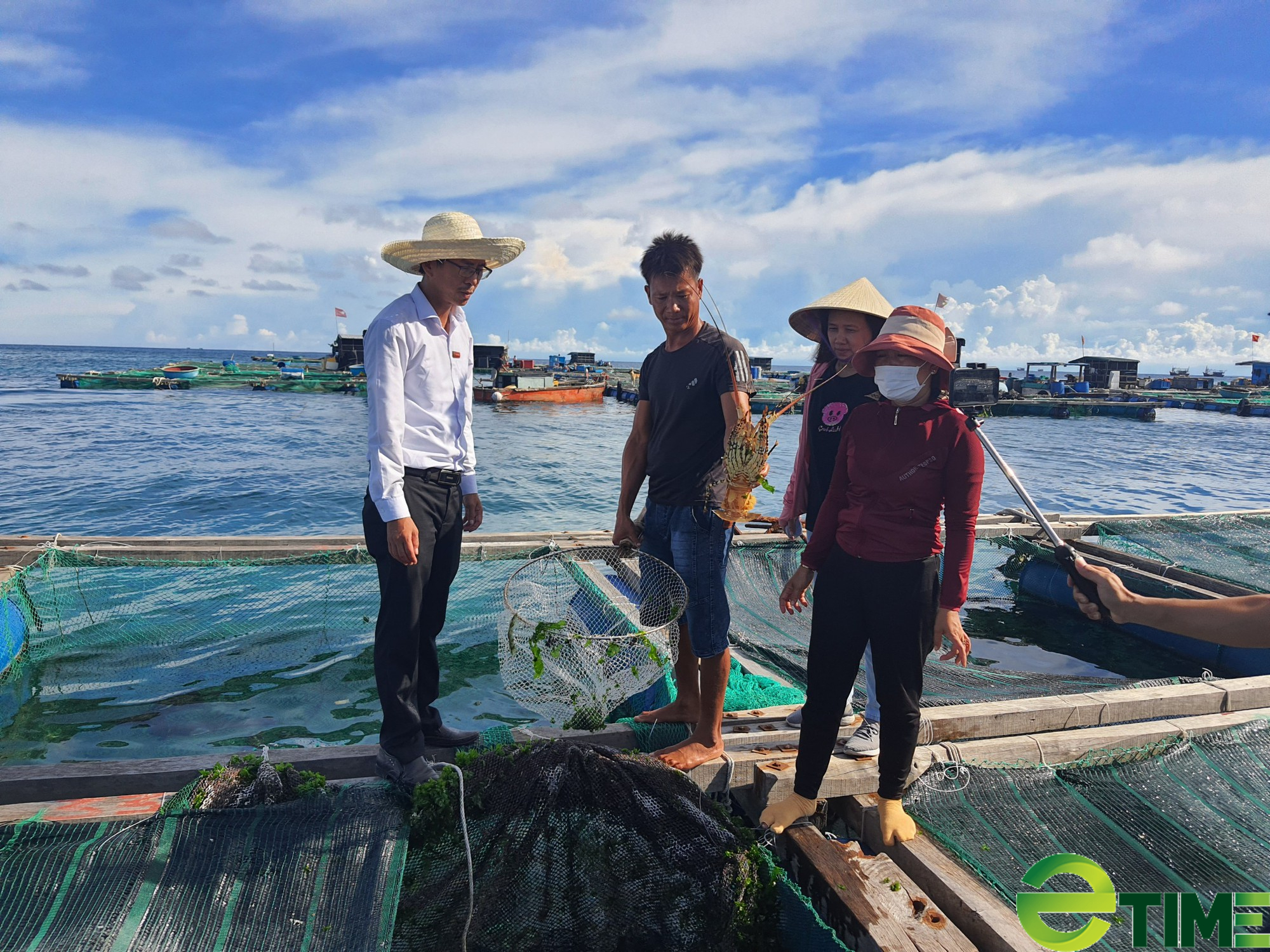 Quảng Ngãi: Có vốn Agribank tiếp sức - nông dân Lý Sơn nuôi cá bớp, tôm hùm lãi cả tỷ đồng/năm - Ảnh 5.