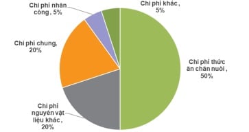 Giá heo tăng, cổ phiếu các doanh nghiệp chăn nuôi bừng sáng - Ảnh 3.
