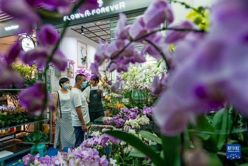 Khám phá chợ hoa lớn nhất Côn Minh, Trung Quốc - Ảnh 1. Khám phá chợ hoa lớn nhất Côn Minh, Trung Quốc - Ảnh 1.