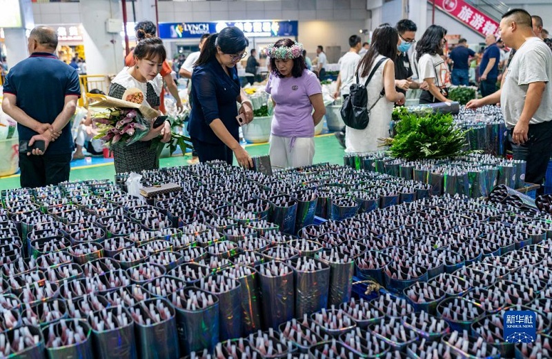 Khám phá chợ hoa lớn nhất Côn Minh, Trung Quốc - Ảnh 4. Khám phá chợ hoa lớn nhất Côn Minh, Trung Quốc - Ảnh 4.