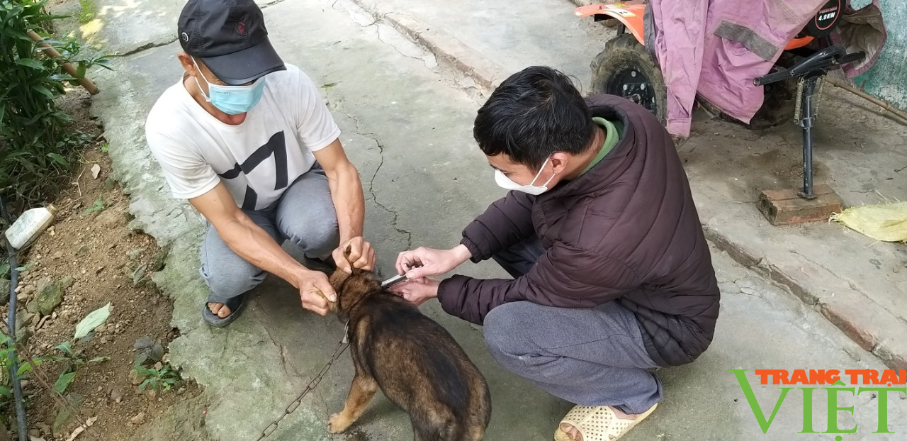 Lào Cai: Tăng cường phòng chống bệnh dại  - Ảnh 2.