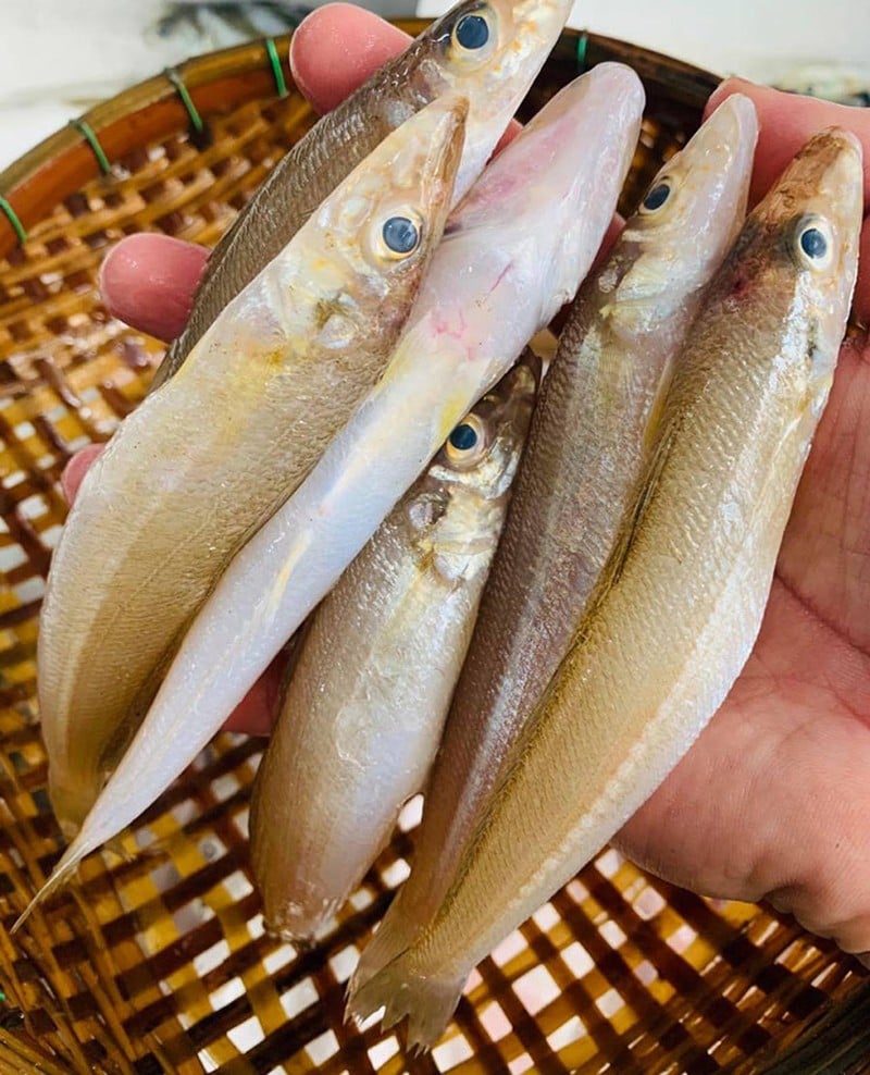 Cá đục, món ngon vùng biển Quảng Ninh - Ảnh 11.