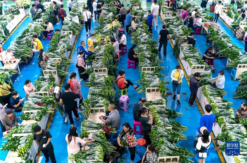 Khám phá chợ hoa lớn nhất Côn Minh, Trung Quốc - Ảnh 8. Khám phá chợ hoa lớn nhất Côn Minh, Trung Quốc - Ảnh 8.
