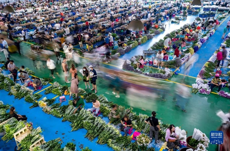 Khám phá chợ hoa lớn nhất Côn Minh, Trung Quốc - Ảnh 7. Khám phá chợ hoa lớn nhất Côn Minh, Trung Quốc - Ảnh 7.