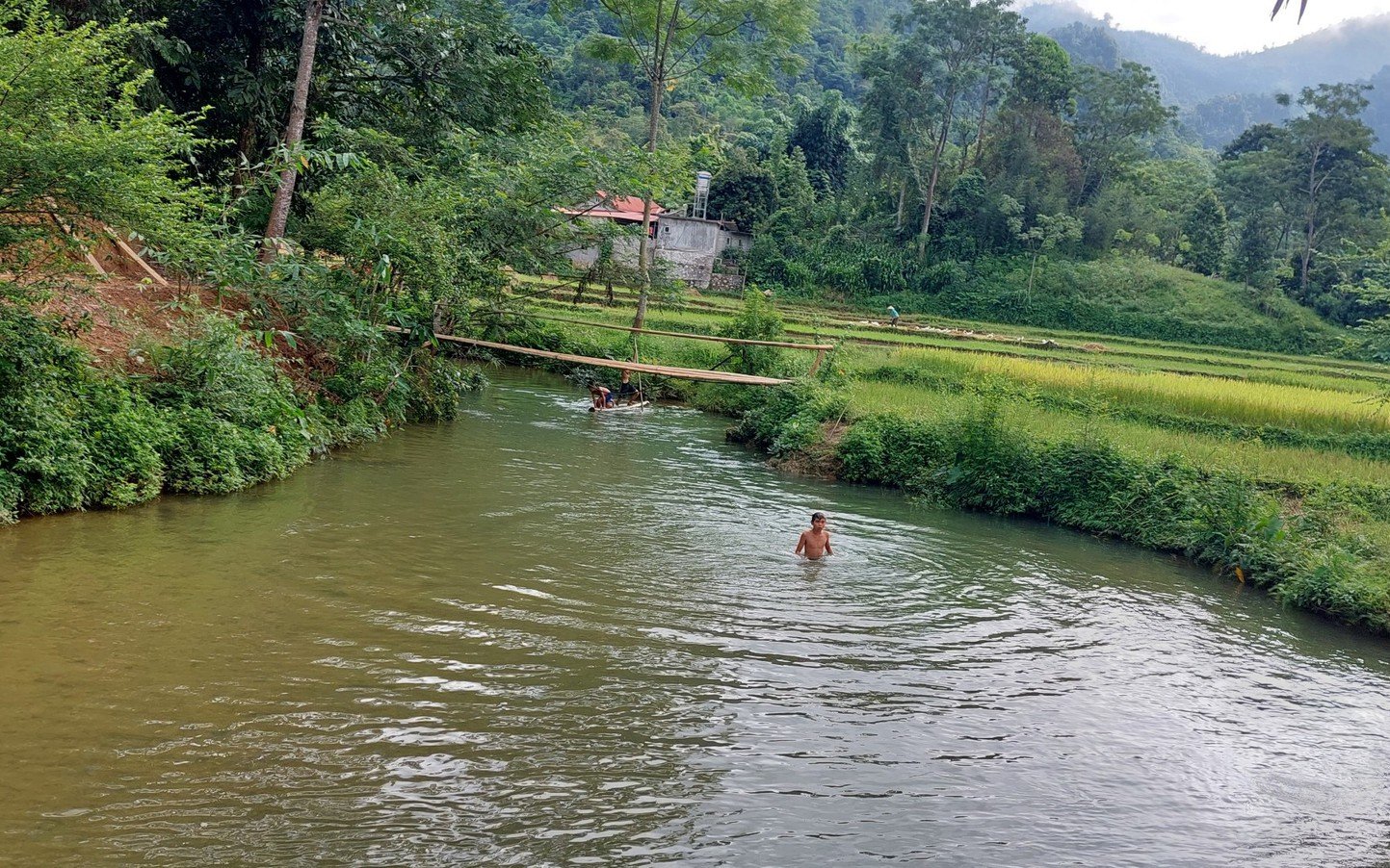 Hương ước của người Thái ở bản Bướt  của Sơn La liên quan đến đàn cá suối kỳ lạ
