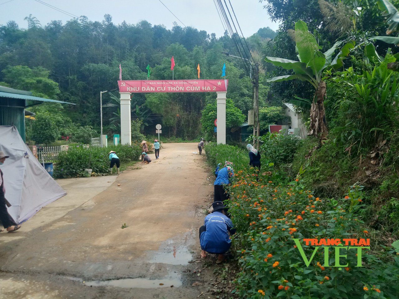 Lào Cai: Phát huy vai trò của hội nông dân trong xây dựng nông thôn mới - Ảnh 1.