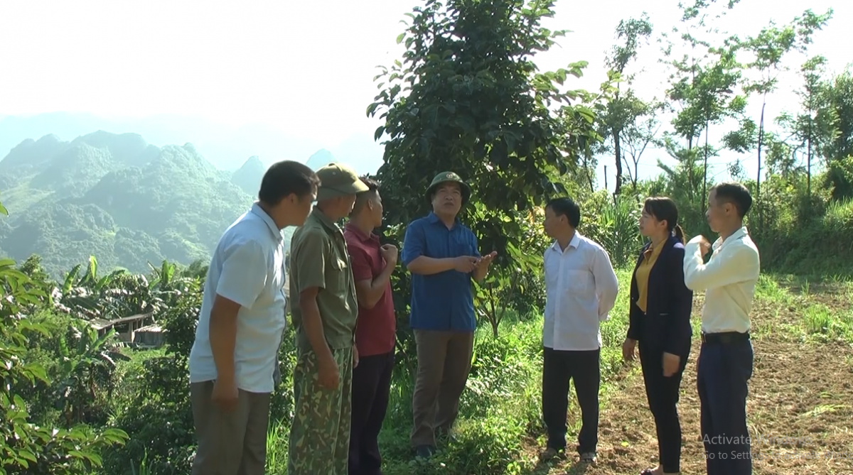 Mê mẩn ngắm mãi không chán vườn hồng không hạt ở cao nguyên Quản Bạ của Hà Giang - Ảnh 4.