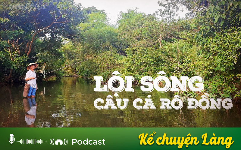 Kể chuyện Podcast: Lội sông câu cá rô đồng - Ảnh 1.