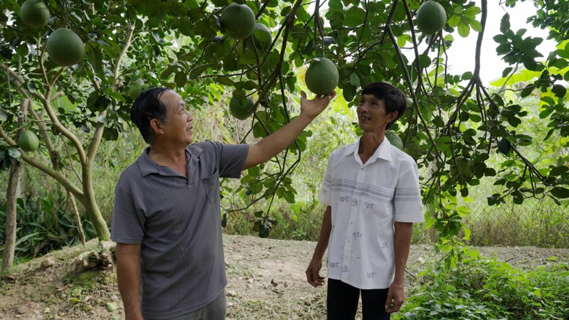 Khi giá phân bón ngược chiều giá nông sản: cần nhìn nhận khách quan - Ảnh 1. Khi giá phân bón ngược chiều giá nông sản: cần nhìn nhận khách quan - Ảnh 1.