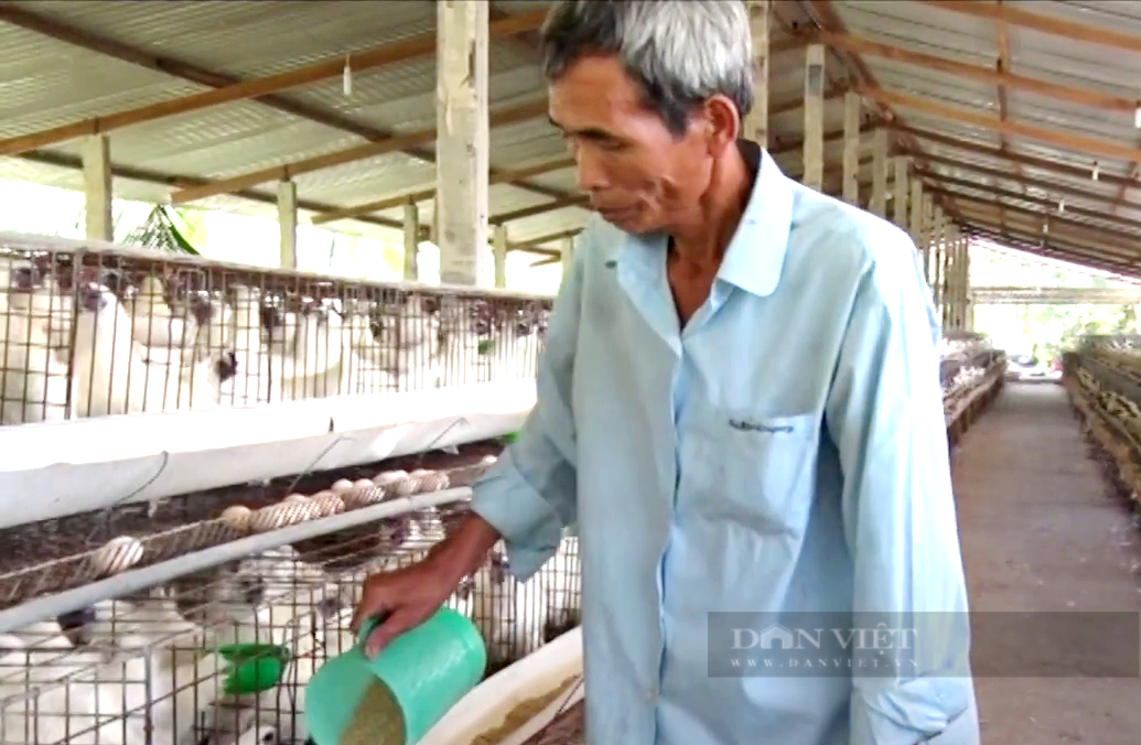 Cựu chiến binh mát tay, hay làm, mở trại nuôi trồng như sở thú, bất ngờ thu tiền tỷ mỗi năm - Ảnh 2.