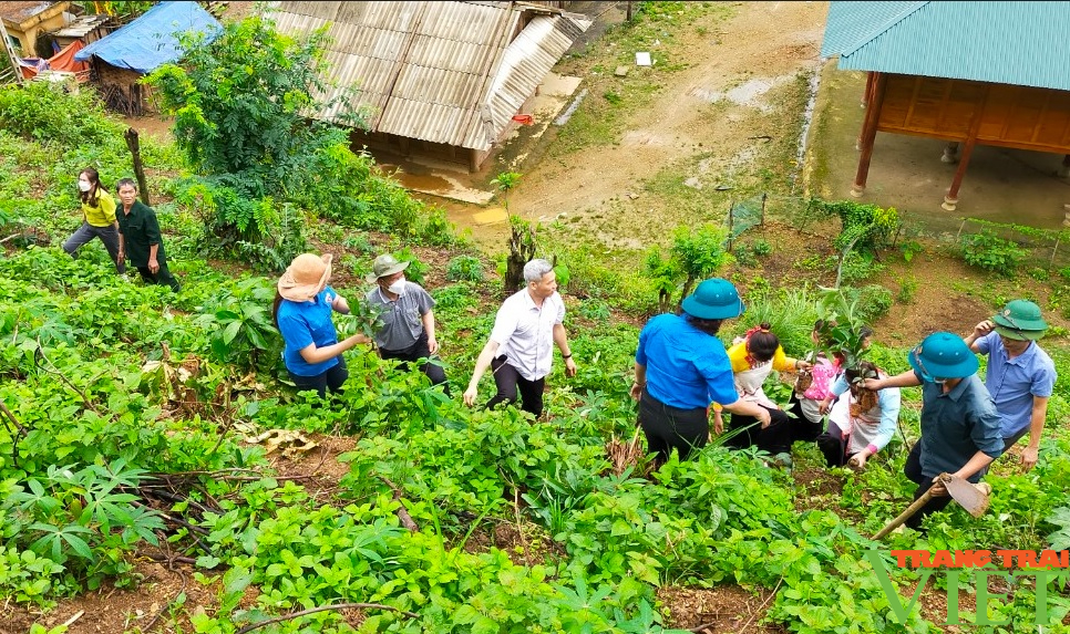 Lai Châu: Nậm Nhùn đẩy mạnh công tác quản lý bảo vệ rừng - Ảnh 4. Lai Châu: Nậm Nhùn đẩy mạnh công tác quản lý bảo vệ rừng - Ảnh 4.
