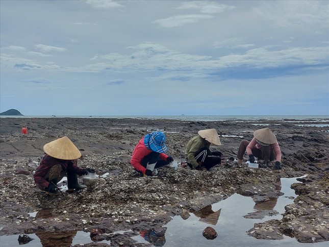 Nghề "lạ" của những người phụ nữ trên vịnh Hòn La: Mổ hàu - Ảnh 3. Nghề "lạ" của những người phụ nữ trên vịnh Hòn La: Mổ hàu - Ảnh 3.