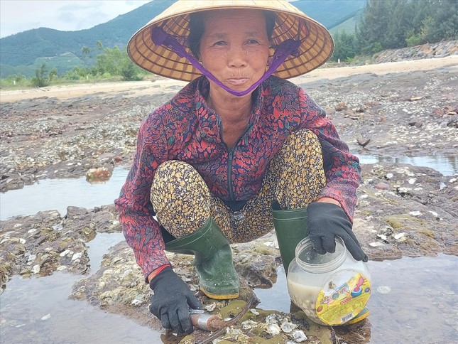 Nghề "lạ" của những người phụ nữ trên vịnh Hòn La: Mổ hàu - Ảnh 2. Nghề "lạ" của những người phụ nữ trên vịnh Hòn La: Mổ hàu - Ảnh 2.