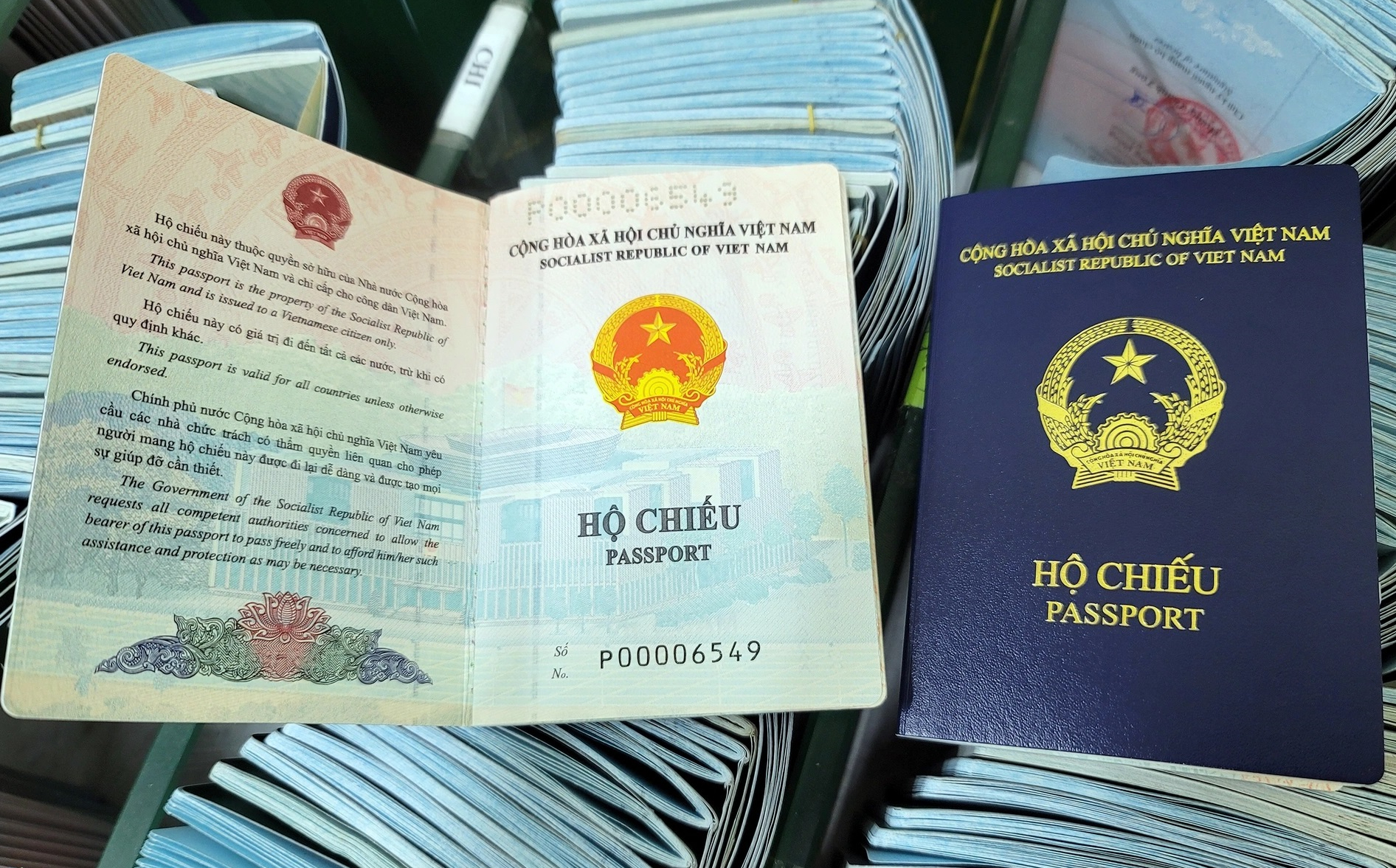 Đại sứ quán Việt Nam đưa giải pháp việc Đức ngừng cấp thị thực cho người mang hộ chiếu mẫu mới - Ảnh 1.