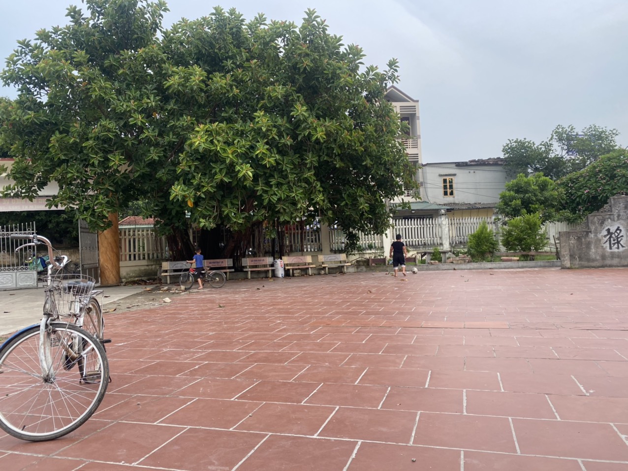 Kể chuyện làng: Sân kho loang loáng ánh trăng - Ảnh 2.