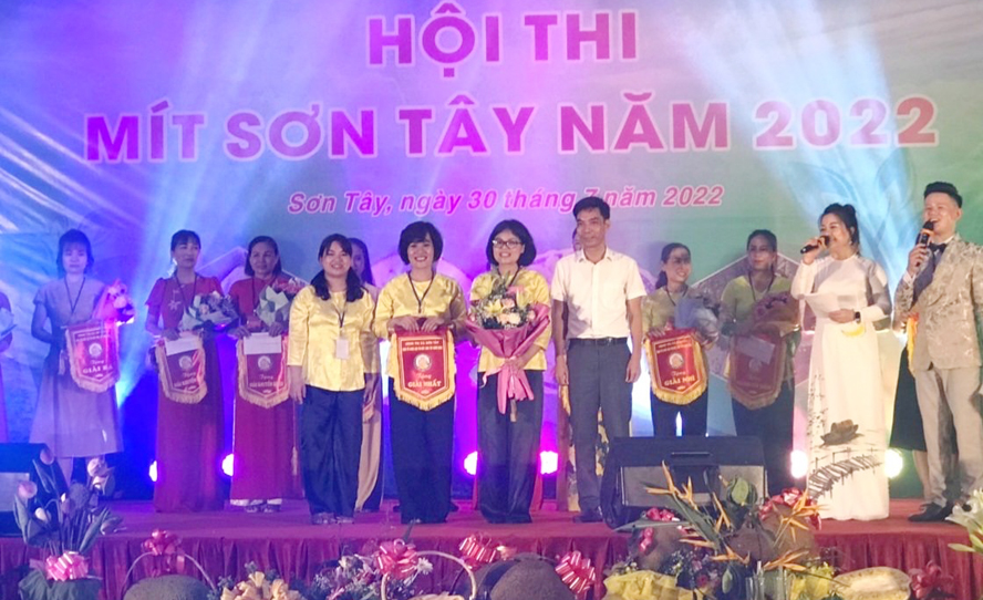 Hà Nội: Hội thi mít thị xã Sơn Tây lần thứ nhất - Ảnh 4.