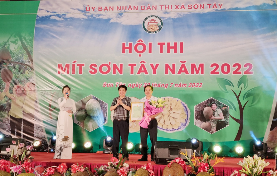 Hà Nội: Hội thi mít thị xã Sơn Tây lần thứ nhất - Ảnh 2.