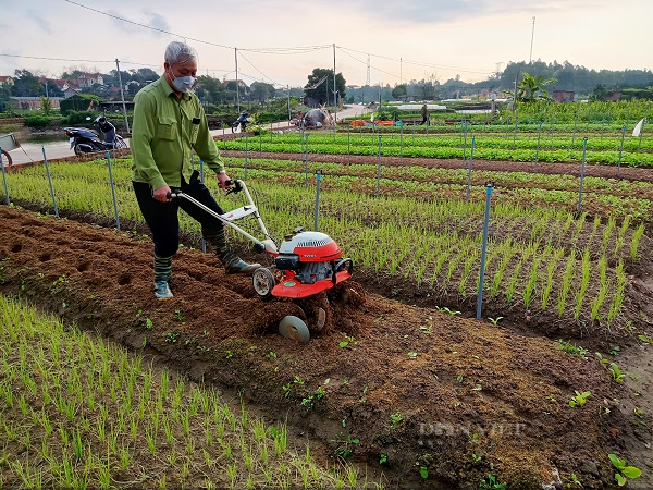 Hội Nông dân tỉnh Phú Thọ tạo “đòn bẩy” giúp nhà nông dám nghĩ, dám làm, thi đua làm giàu mạnh mẽ - Ảnh 3.