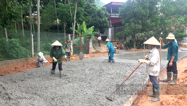 Hội Nông dân tỉnh Phú Thọ tạo “đòn bẩy” giúp nhà nông dám nghĩ, dám làm, thi đua làm giàu mạnh mẽ - Ảnh 6.
