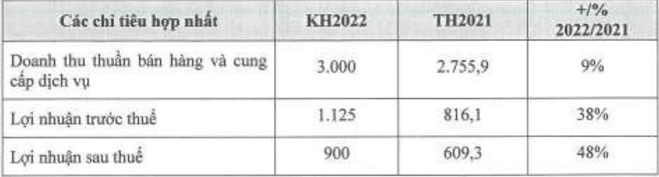 ĐHĐCĐ Tài chính Hoàng Huy (TCH): Dự kiến mua thêm 45 triệu cổ phiếu CRV; kế hoạch tăng trưởng 48% - Ảnh 1.