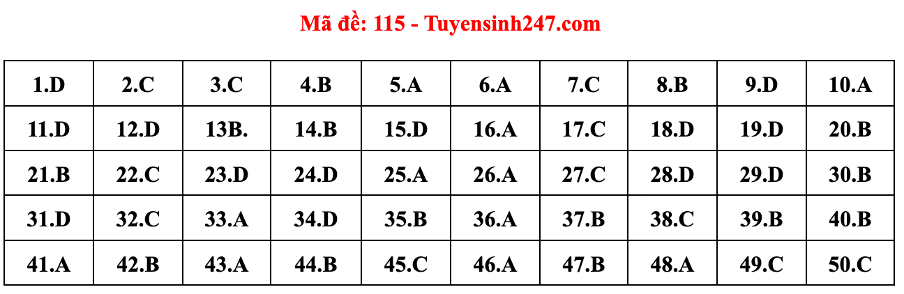 Gợi ý đáp án đề thi môn Toán tốt nghiệp THPT năm 2022 - Ảnh 15.
