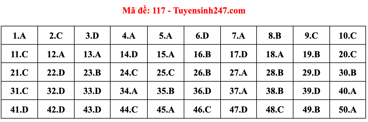 Gợi ý đáp án đề thi môn Toán tốt nghiệp THPT năm 2022 - Ảnh 17.