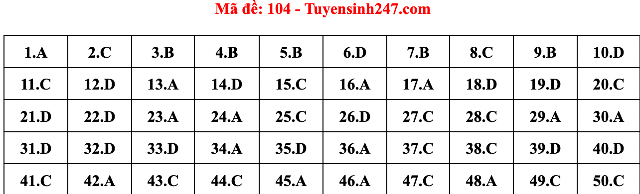 Gợi ý đáp án đề thi môn Toán tốt nghiệp THPT năm 2022 - Ảnh 6.