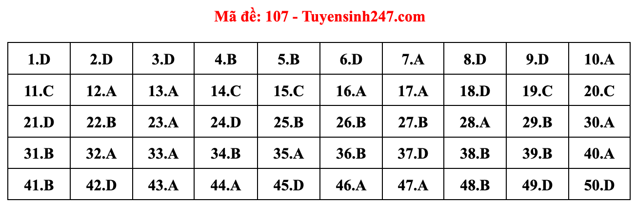 Gợi ý đáp án đề thi môn Toán tốt nghiệp THPT năm 2022 - Ảnh 8.