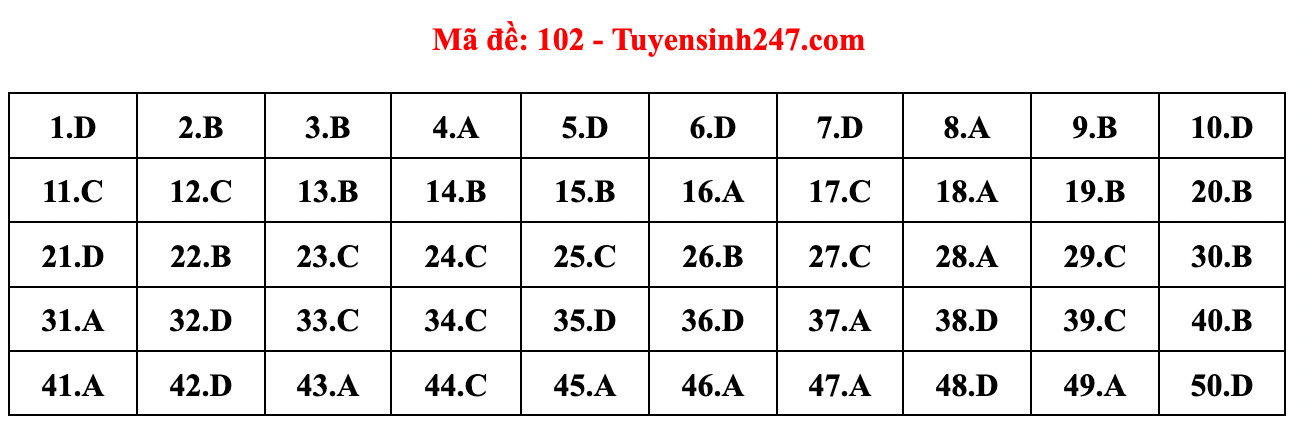 Gợi ý đáp án đề thi môn Toán tốt nghiệp THPT năm 2022 - Ảnh 4.