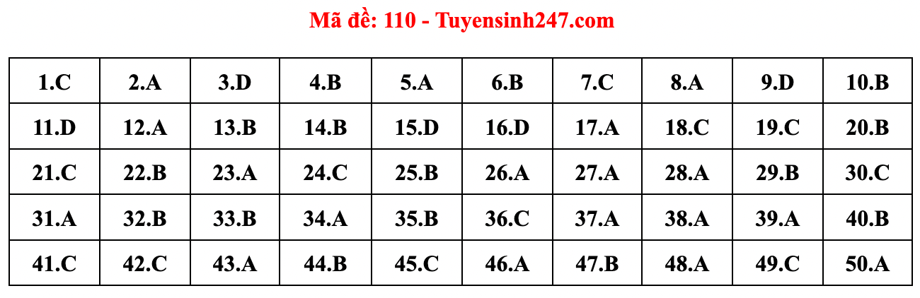 Gợi ý đáp án đề thi môn Toán tốt nghiệp THPT năm 2022 - Ảnh 11.
