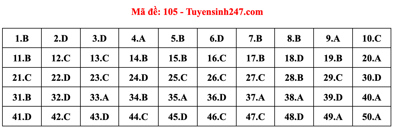 Gợi ý đáp án đề thi môn Toán tốt nghiệp THPT năm 2022 - Ảnh 7.