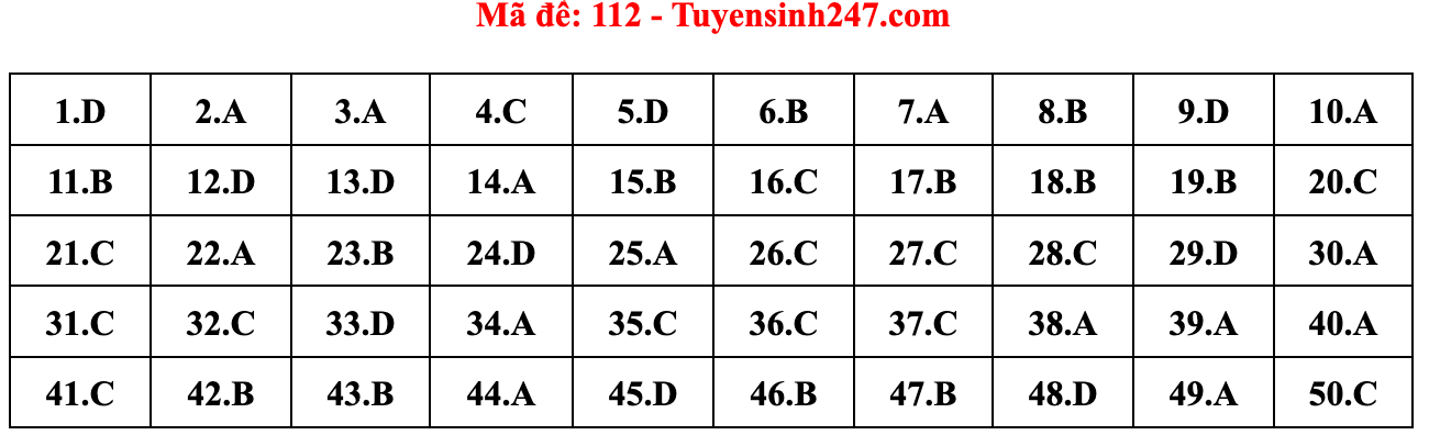 Gợi ý đáp án đề thi môn Toán tốt nghiệp THPT năm 2022 - Ảnh 14.