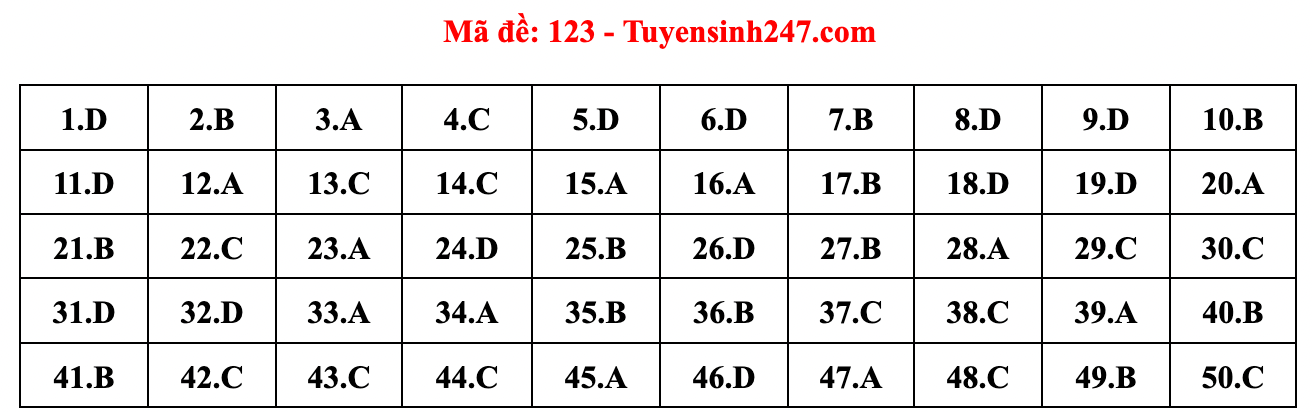 Gợi ý đáp án đề thi môn Toán tốt nghiệp THPT năm 2022 - Ảnh 13.