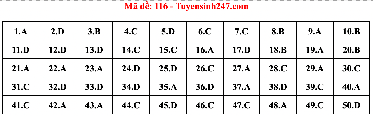 Gợi ý đáp án đề thi môn Toán tốt nghiệp THPT năm 2022 - Ảnh 5.