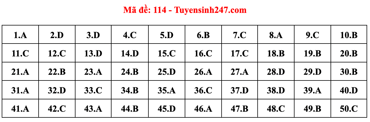 Gợi ý đáp án đề thi môn Toán tốt nghiệp THPT năm 2022 - Ảnh 14.