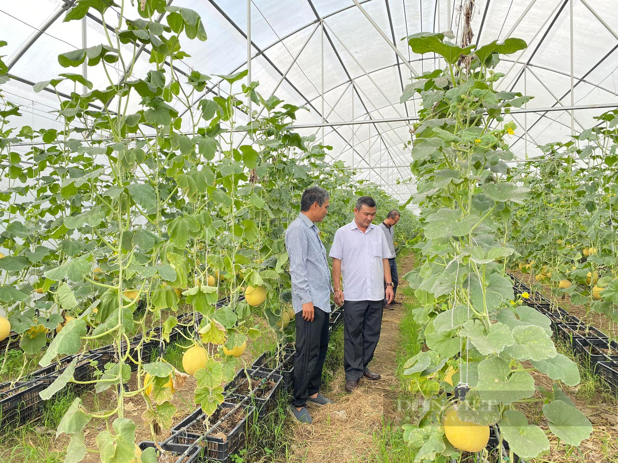 Đồng Nai:  - Ảnh 3.