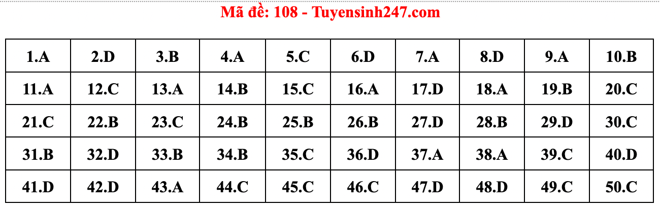 Gợi ý đáp án đề thi môn Toán tốt nghiệp THPT năm 2022 - Ảnh 10.