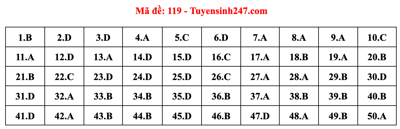 Gợi ý đáp án đề thi môn Toán tốt nghiệp THPT năm 2022 - Ảnh 10.