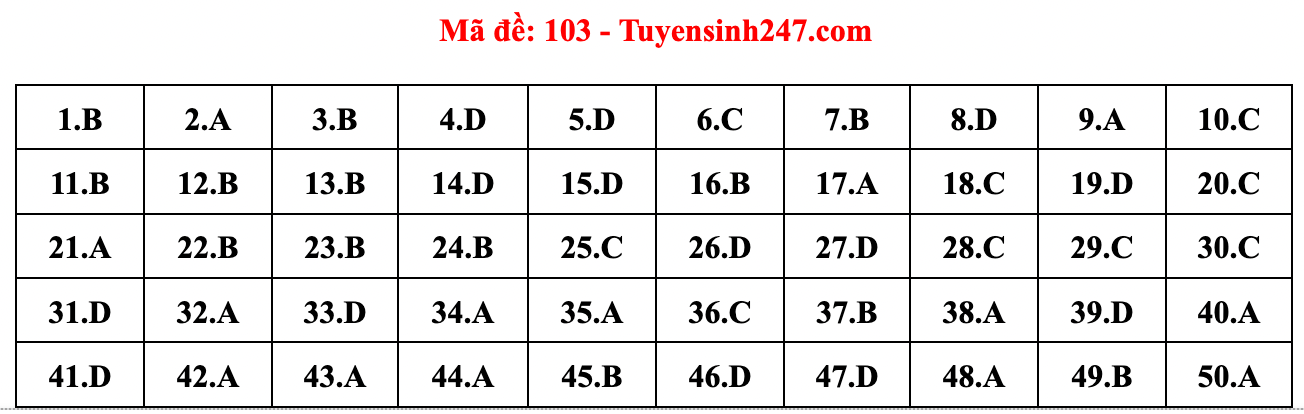 Gợi ý đáp án đề thi môn Toán tốt nghiệp THPT năm 2022 - Ảnh 5.
