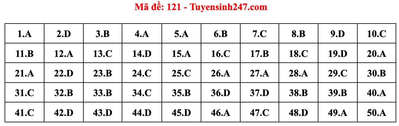 Gợi ý đáp án đề thi môn Toán tốt nghiệp THPT năm 2022 - Ảnh 13.