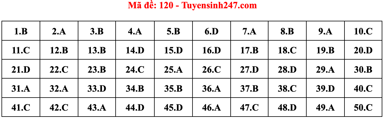 Gợi ý đáp án đề thi môn Toán tốt nghiệp THPT năm 2022 - Ảnh 11.