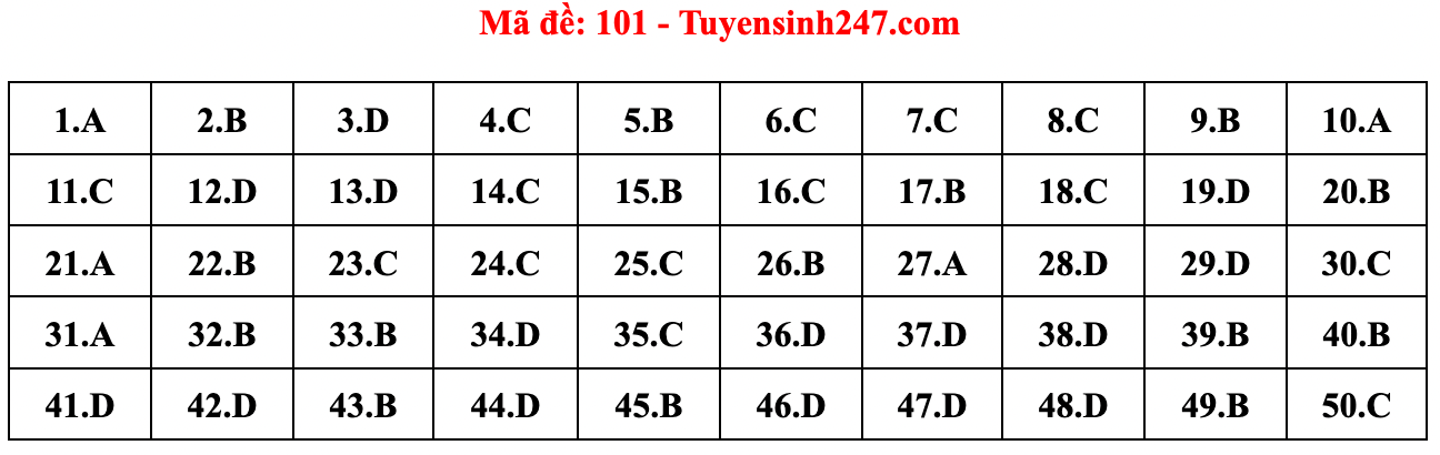 Gợi ý đáp án đề thi môn Toán tốt nghiệp THPT năm 2022 - Ảnh 3.