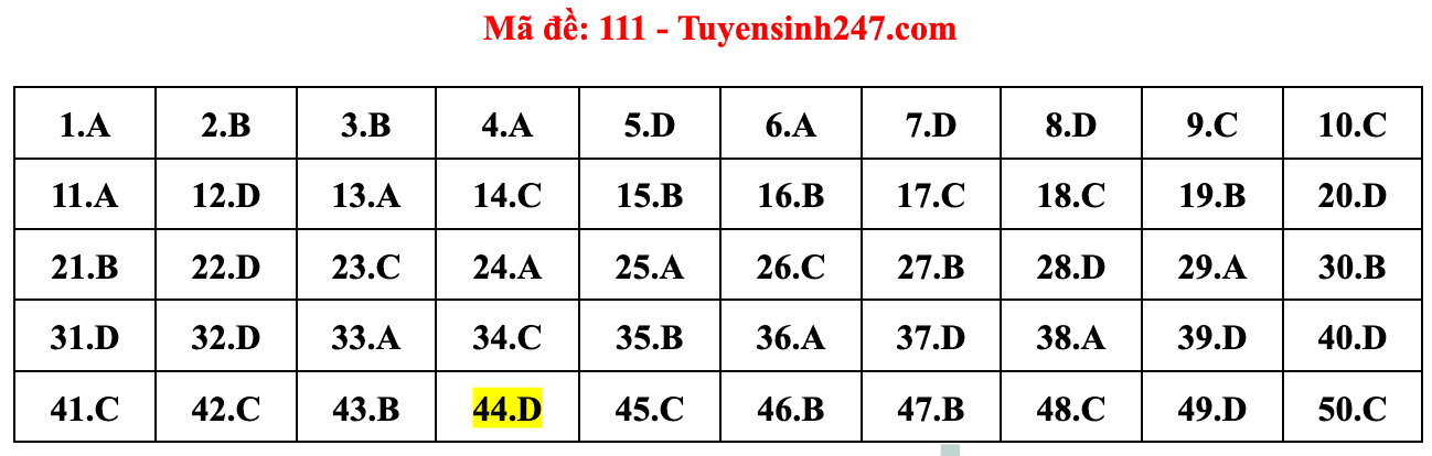 Gợi ý đáp án đề thi môn Toán tốt nghiệp THPT năm 2022 - Ảnh 13.