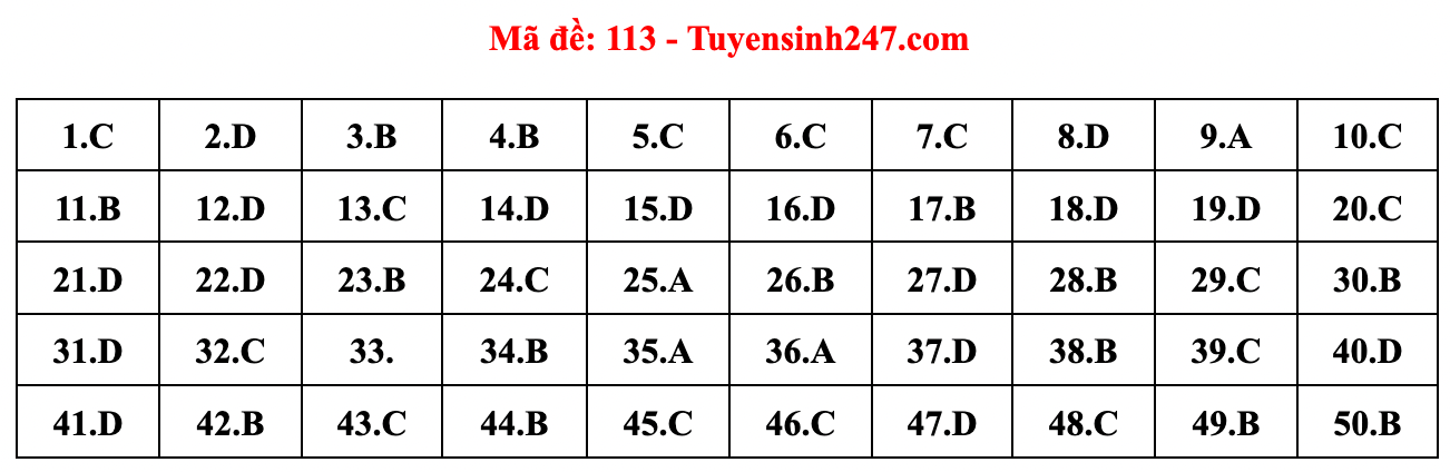 Gợi ý đáp án đề thi môn Toán tốt nghiệp THPT năm 2022 - Ảnh 13.