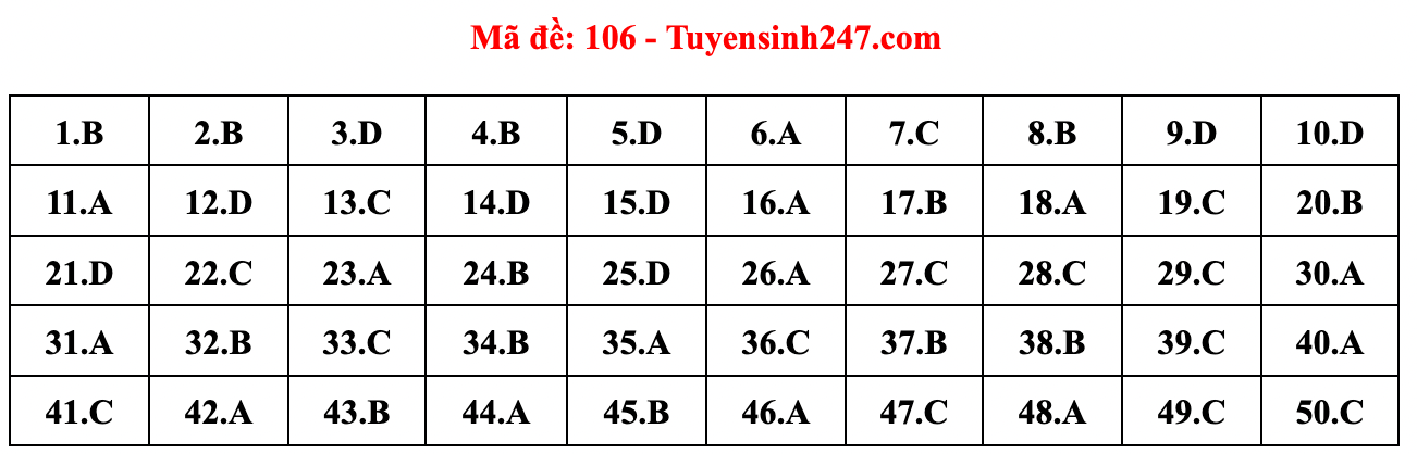 Gợi ý đáp án đề thi môn Toán tốt nghiệp THPT năm 2022 - Ảnh 8.