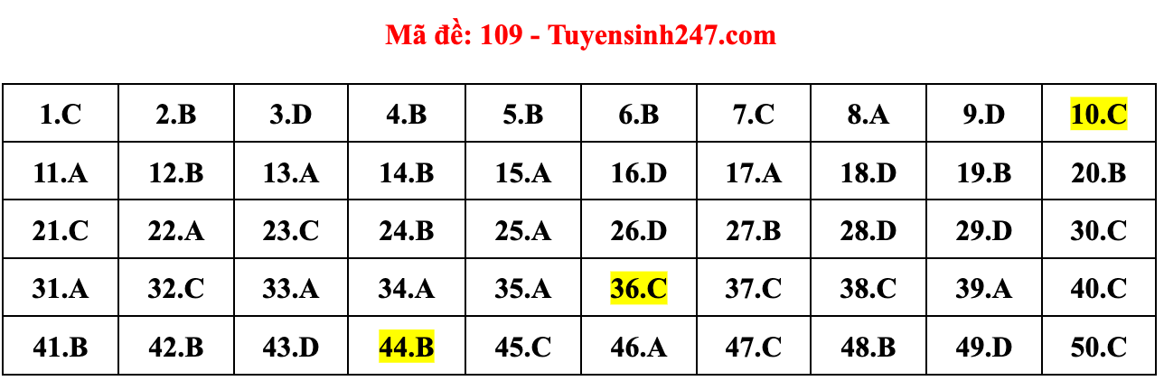 Gợi ý đáp án đề thi môn Toán tốt nghiệp THPT năm 2022 - Ảnh 11.