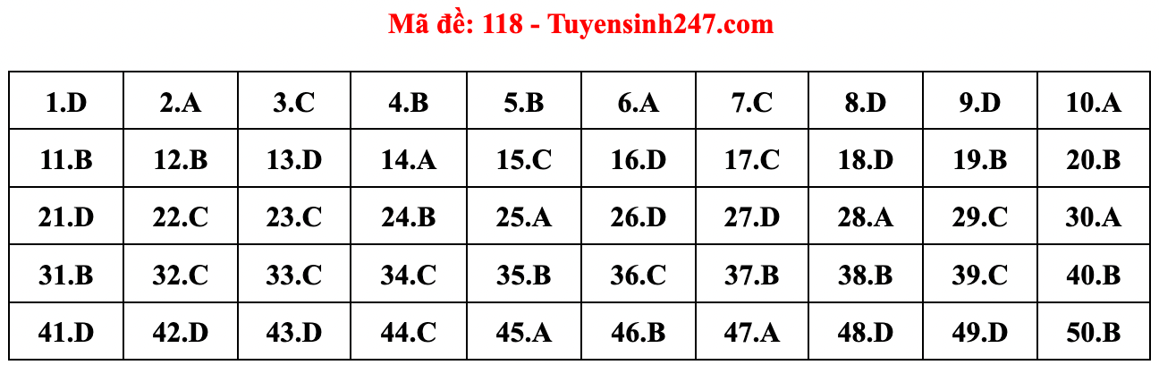Gợi ý đáp án đề thi môn Toán tốt nghiệp THPT năm 2022 - Ảnh 7.