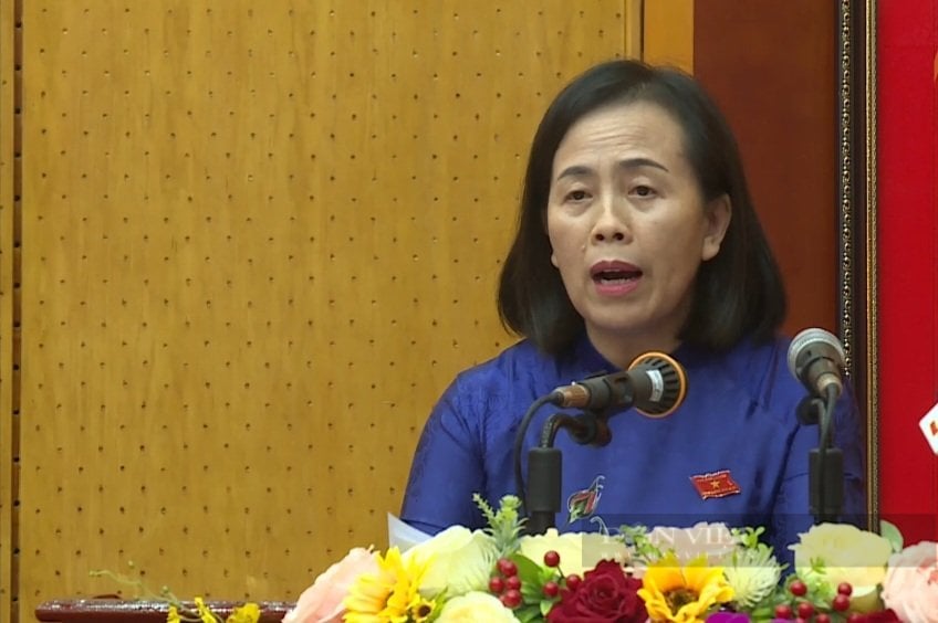 Họp HĐND tỉnh Lạng Sơn: Nóng vấn đề sử dụng đất đai - Ảnh 3.