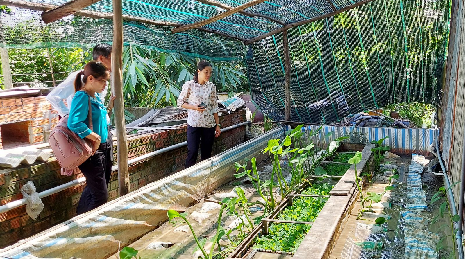 Nông dân nơi này ở Long An, nuôi lươn đặc sản ở chuồng heo bỏ không, thương lái mua 150.000 đồng/kg - Ảnh 1.